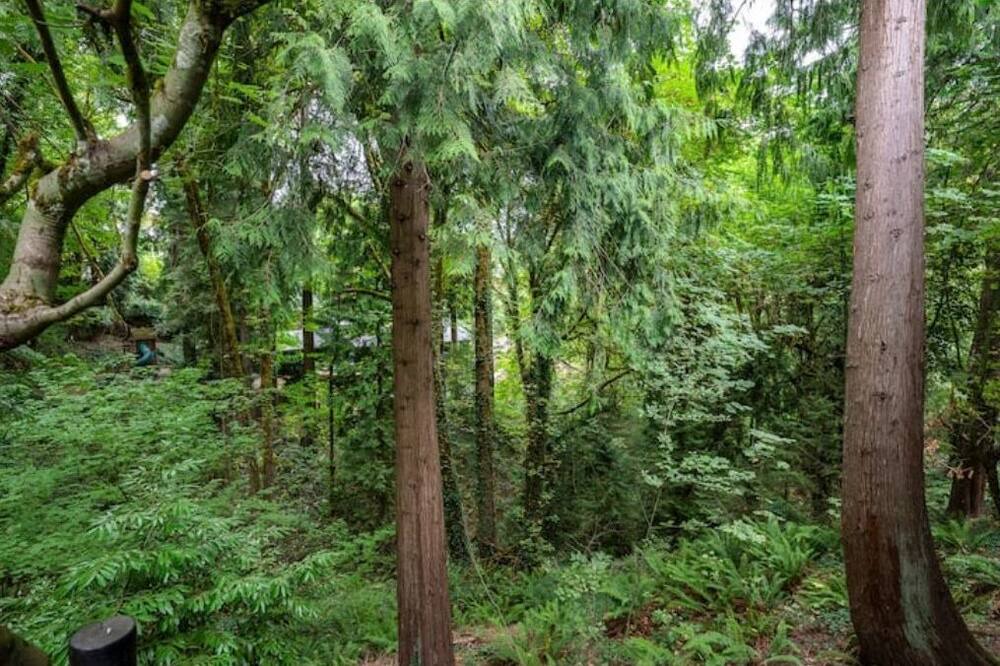 Photo of Outdoor in Portland Heights