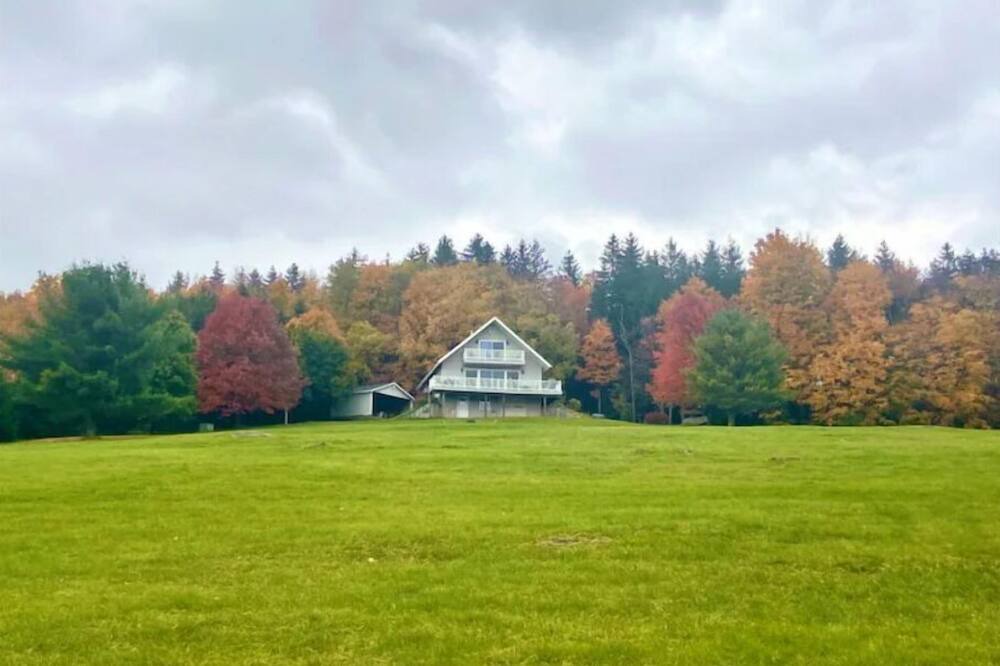 Photo of Outdoor in South Kortright