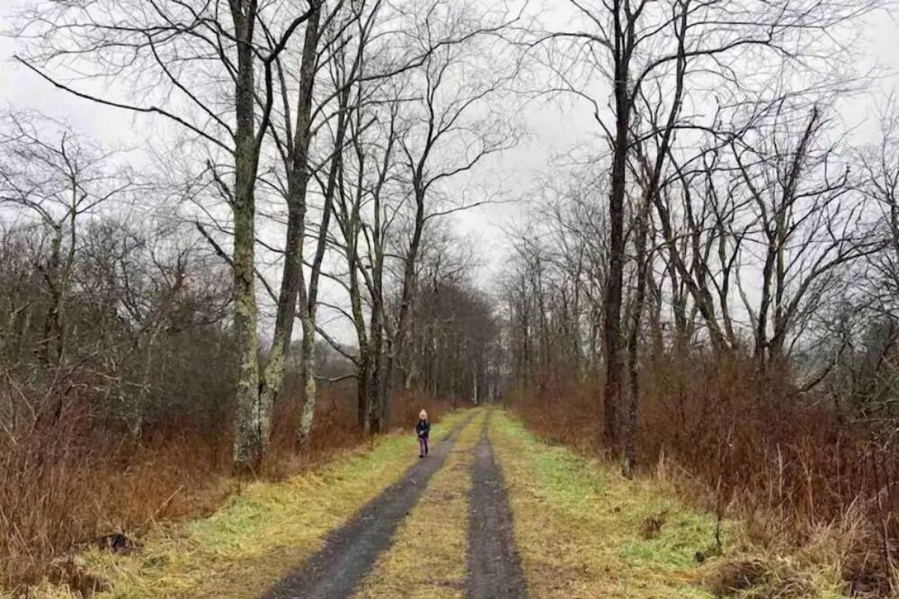 Photo of Outdoor in South Kortright