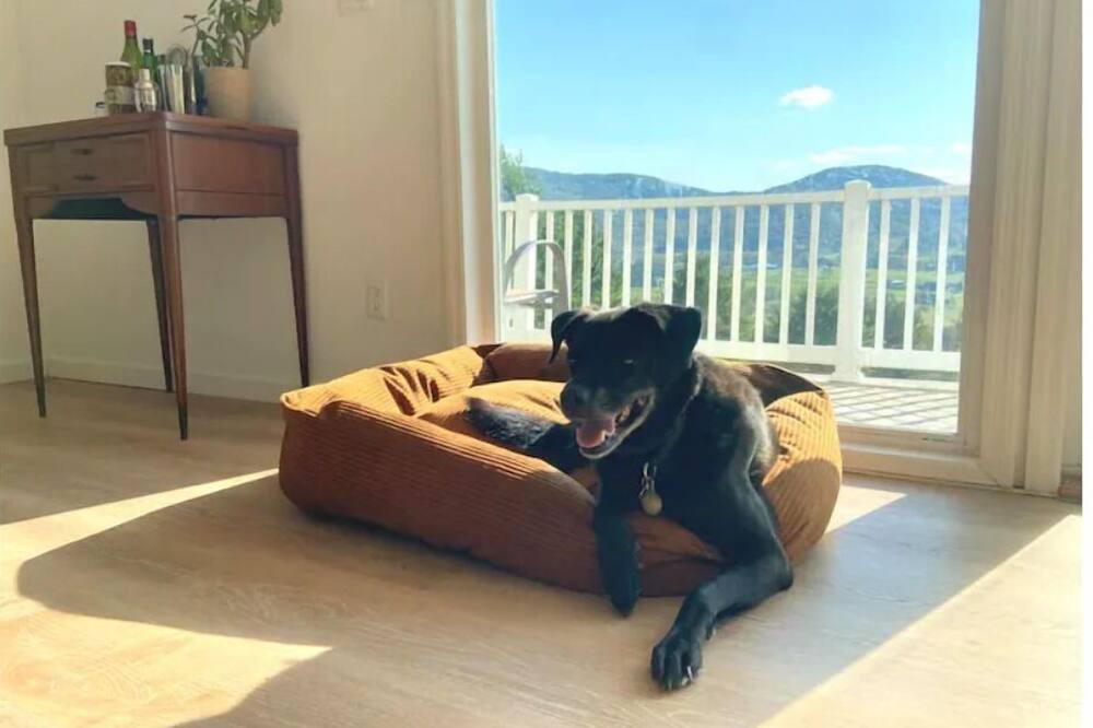 Photo of Others in South Kortright