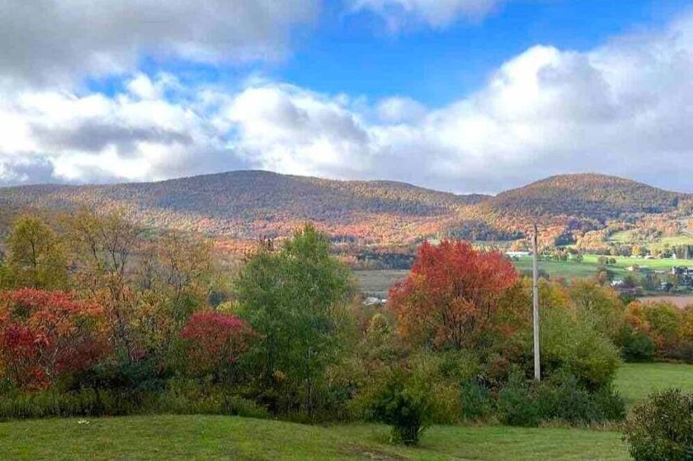 Photo of Outdoor in South Kortright