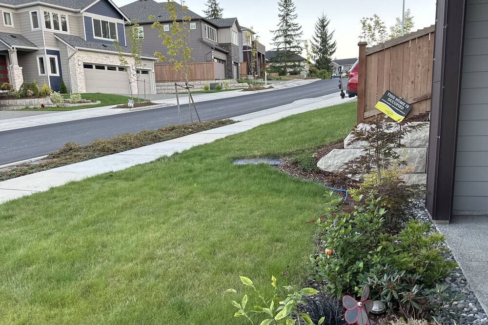 Photo of Outdoor in Seattle Hill-Silver Firs