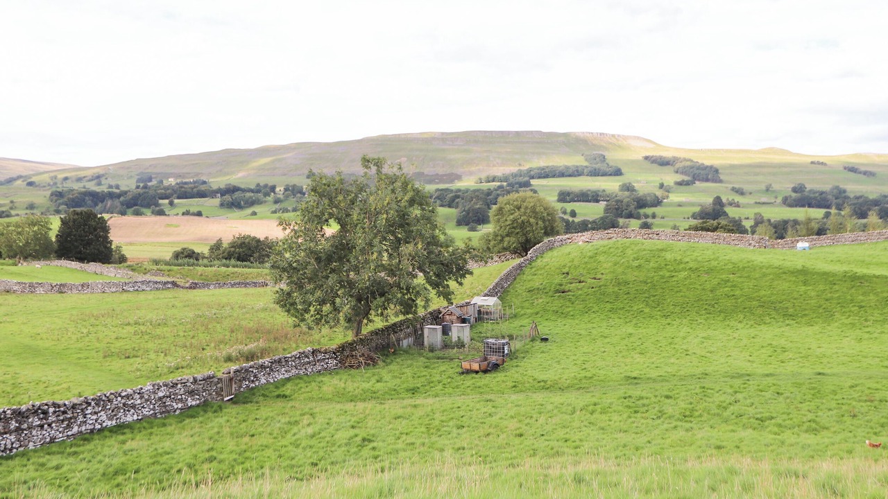 Photo of Outdoor in Gayle