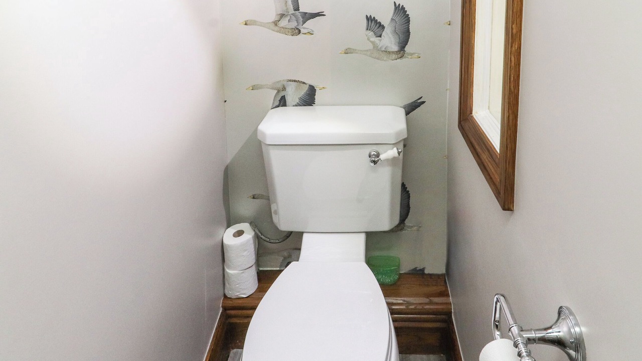 Photo of Others in Gayle