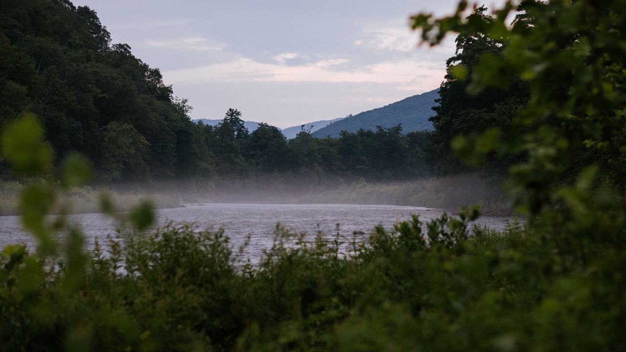 Photo of Outdoor in Mount Tremper