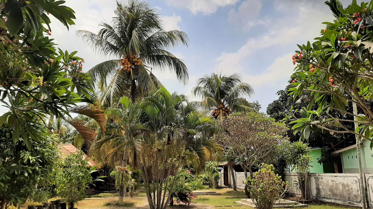 Photo of Outdoor in Pemenang