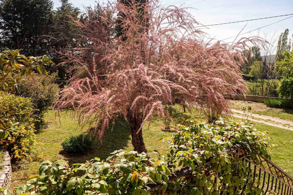 Photo of Outdoor in Saint-Etienne-les-Orgues
