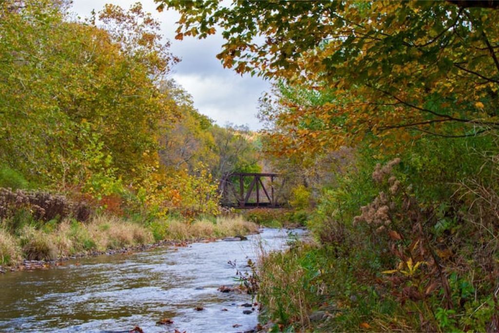 Photo of Outdoor in Arkville