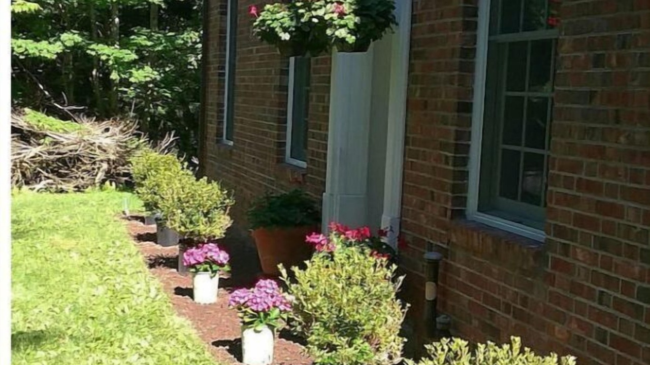 Photo of Outdoor in Arkville