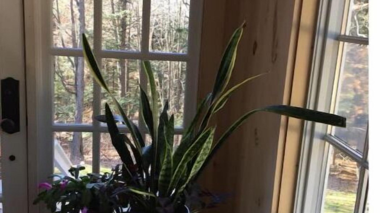 Photo of Others in Arkville