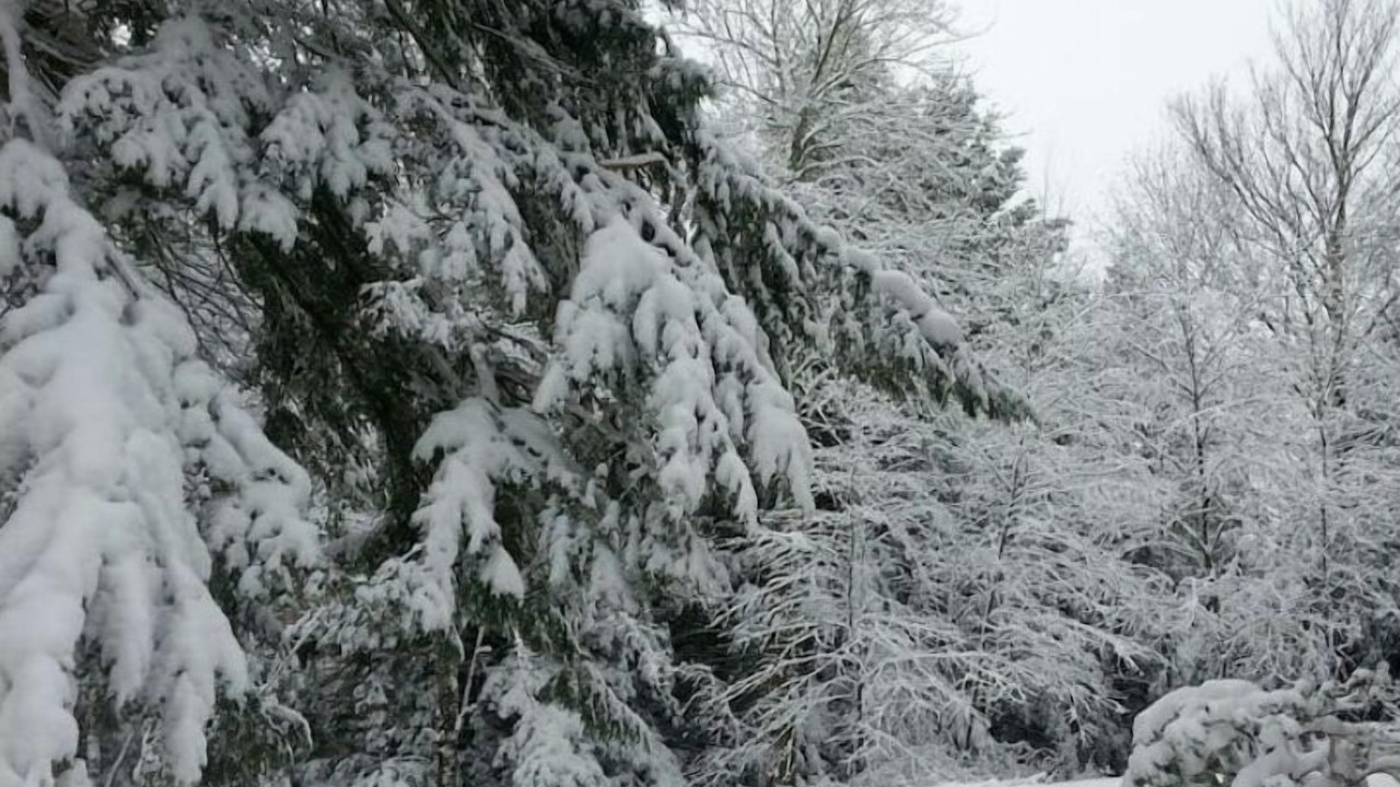 Photo of Outdoor in Arkville