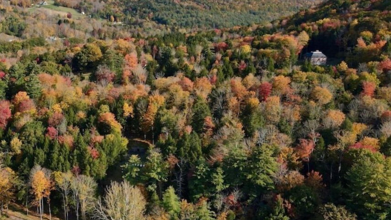 Photo of Outdoor in Arkville