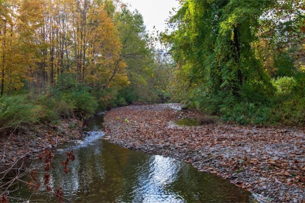 Photo of Outdoor in Arkville