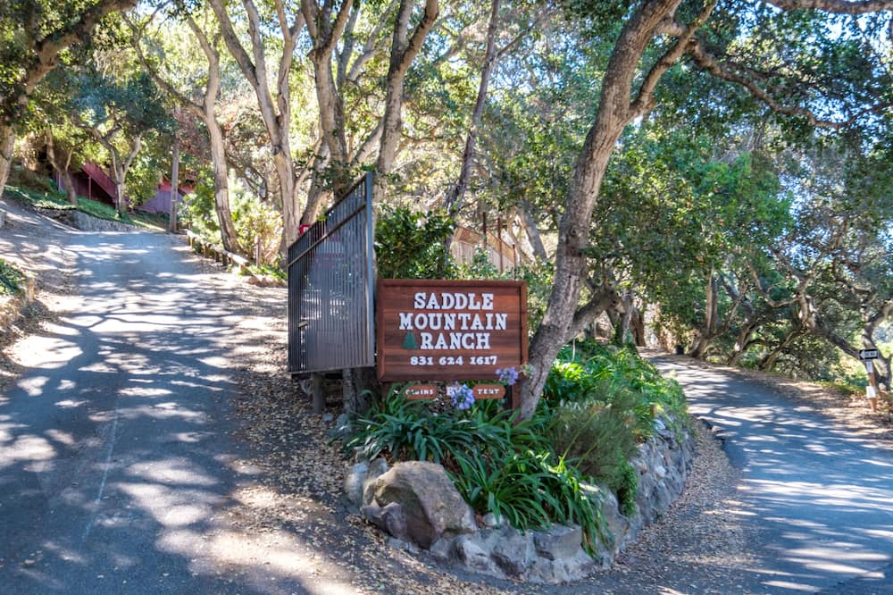 Photo of Outdoor in Carmel