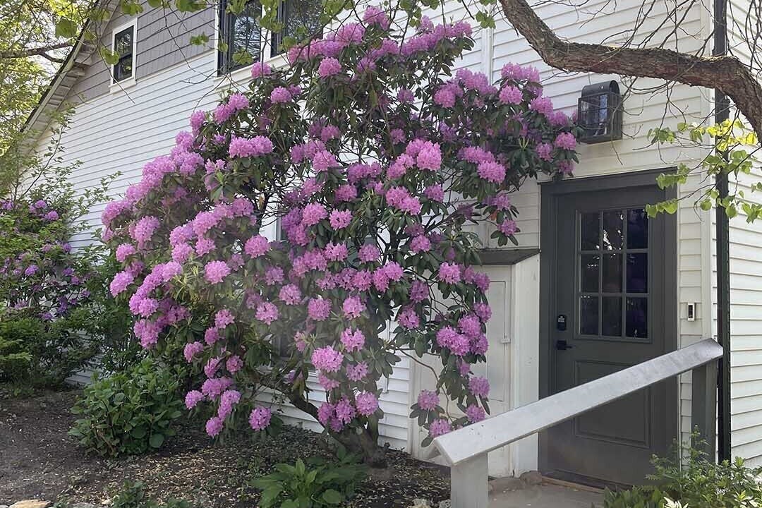 Photo of Others in New Hope