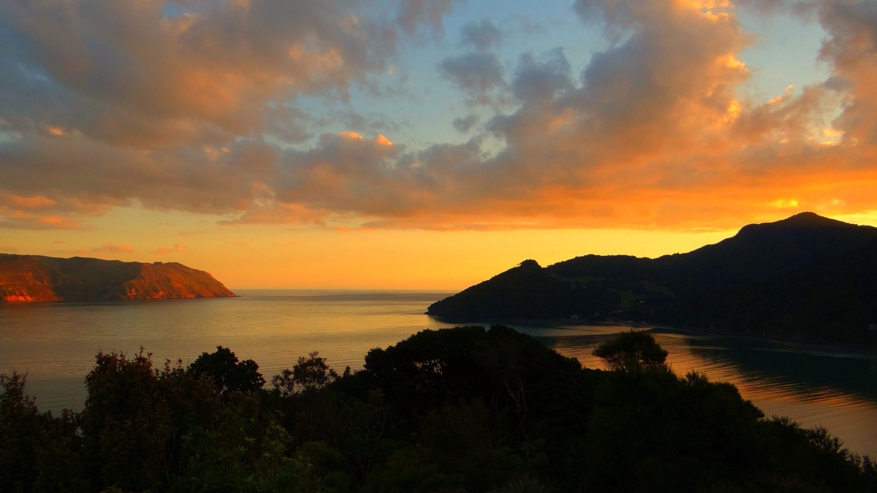 Photo of Others in Huia