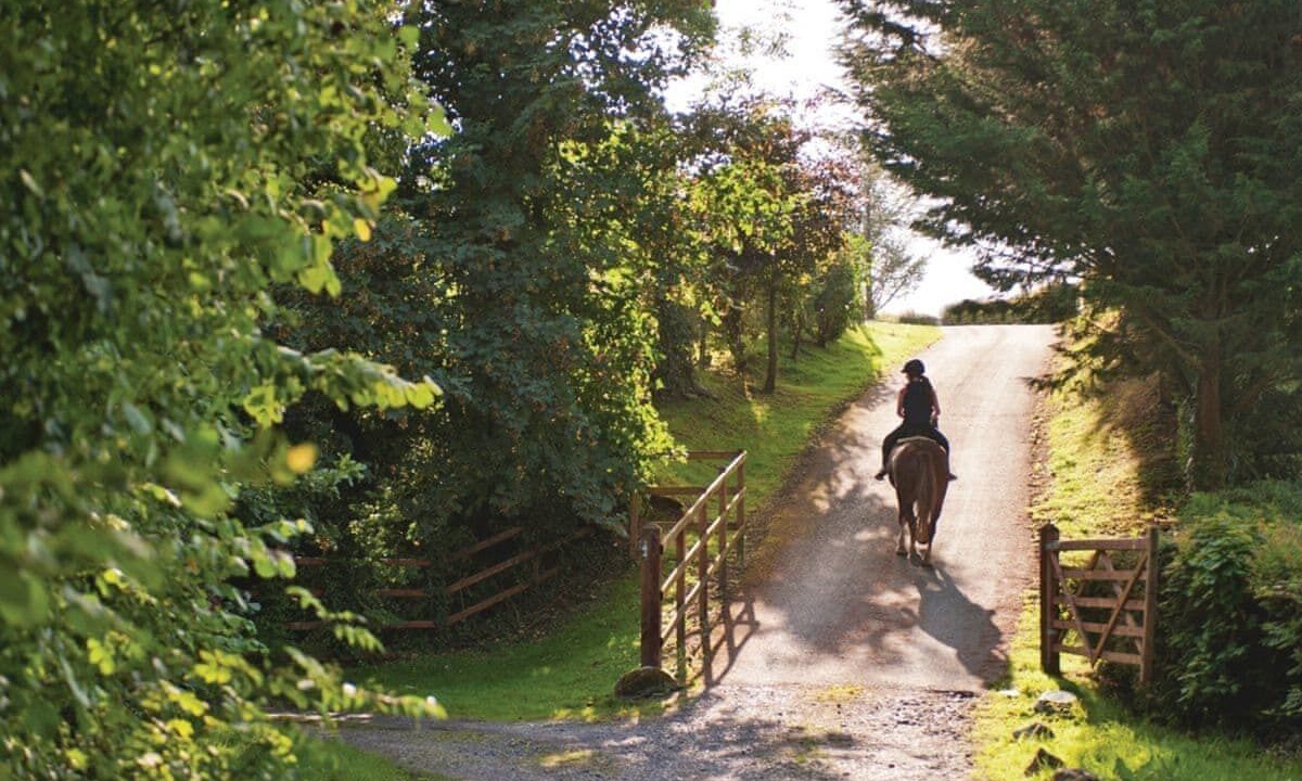 Photo of Others in Narberth