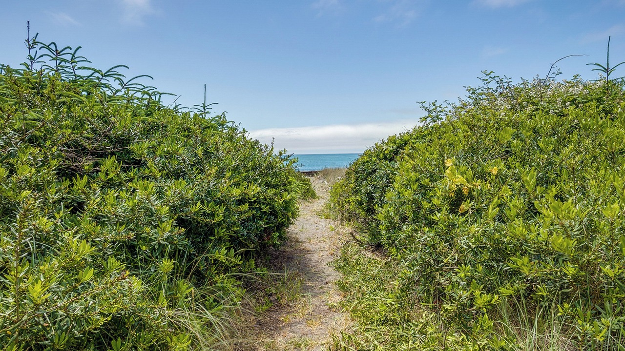 Photo of Others in Smith River
