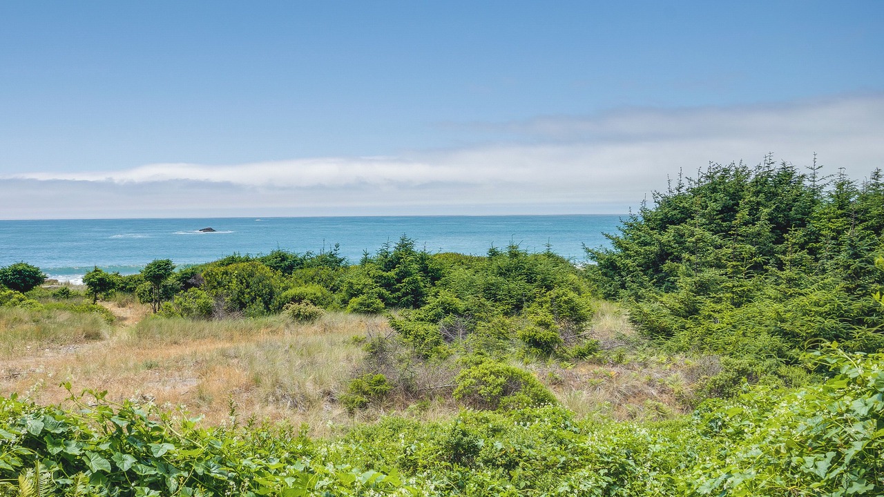 Photo of Others in Smith River