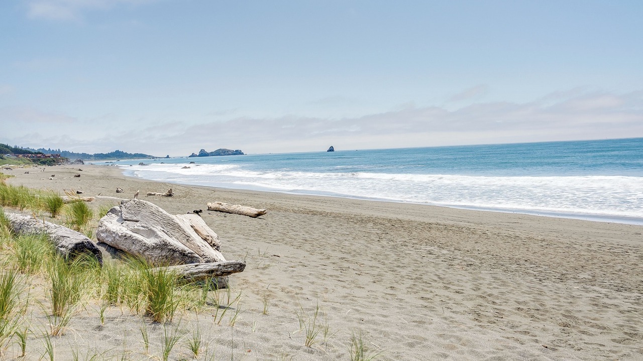 Photo of Others in Smith River