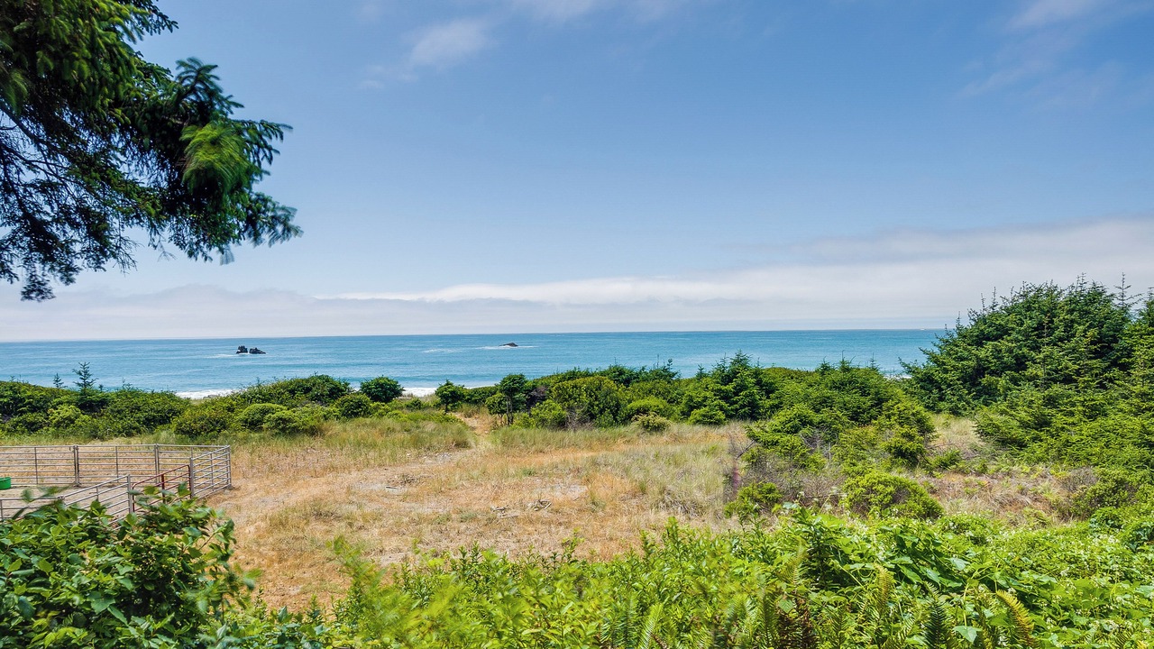 Photo of Others in Smith River