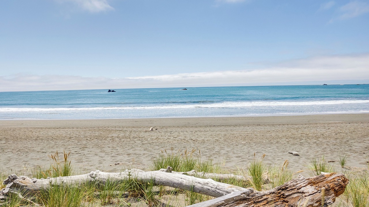 Photo of Others in Smith River