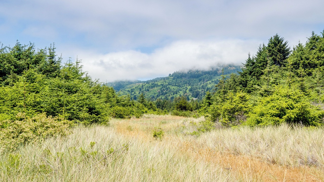 Photo of Others in Smith River