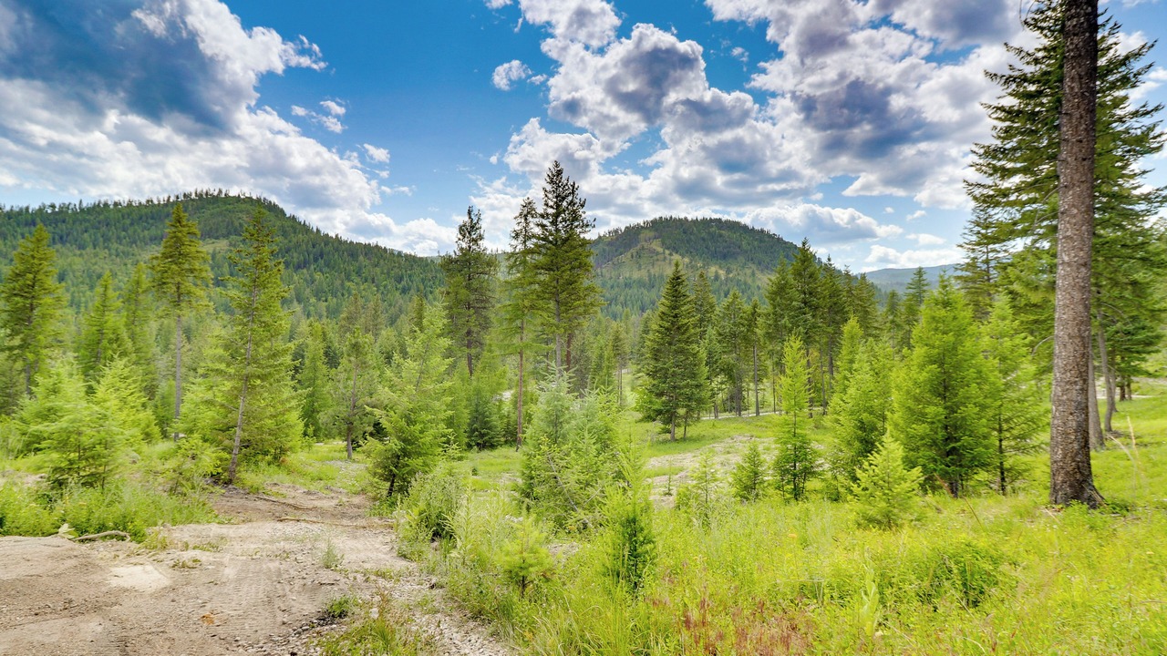 Photo of Others in Lakeside