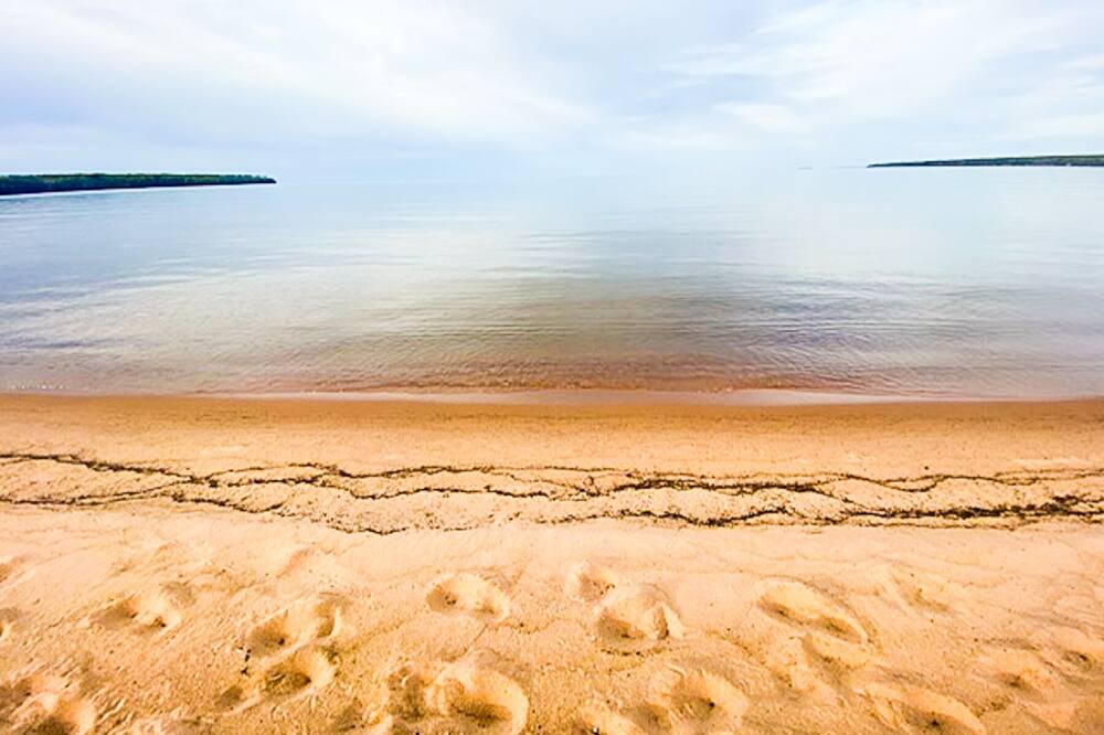 Photo of Others in Bark Point