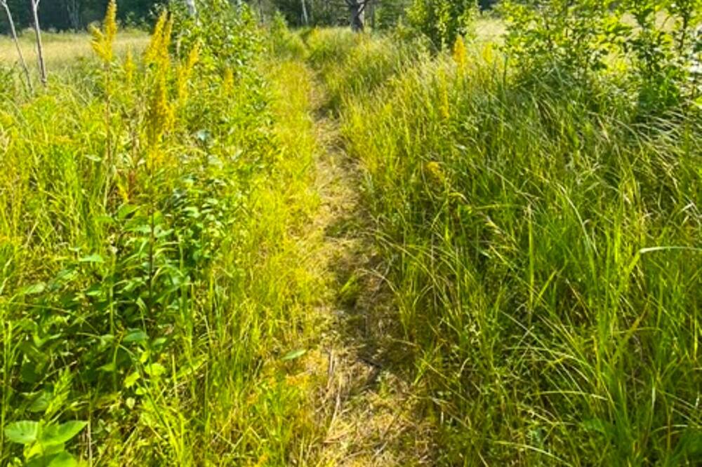 Photo of Outdoor in Bark Point