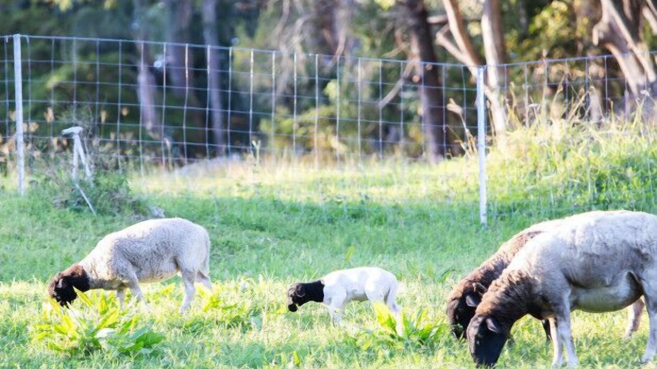 Photo of Others in Kenmore