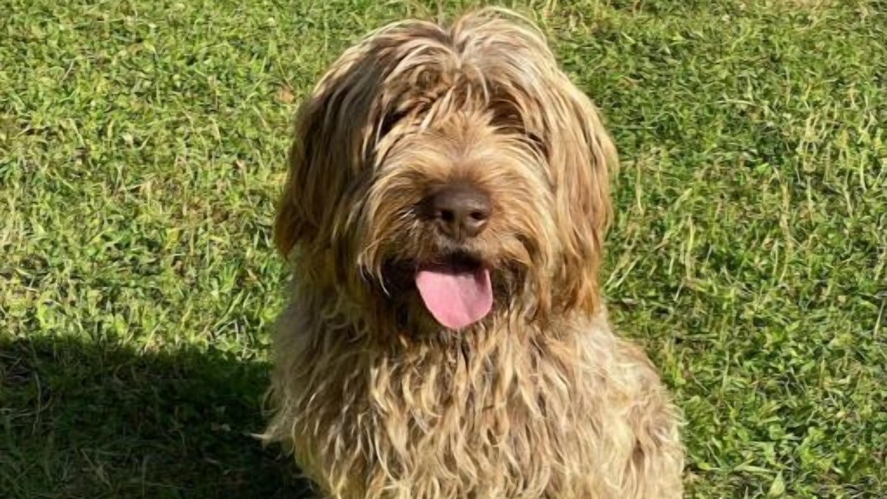 Photo of Others in Treigny