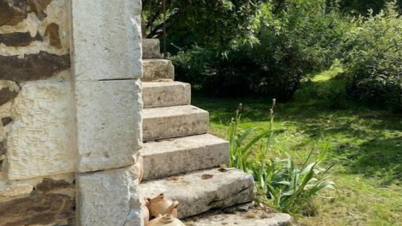 Photo of Outdoor in Treigny