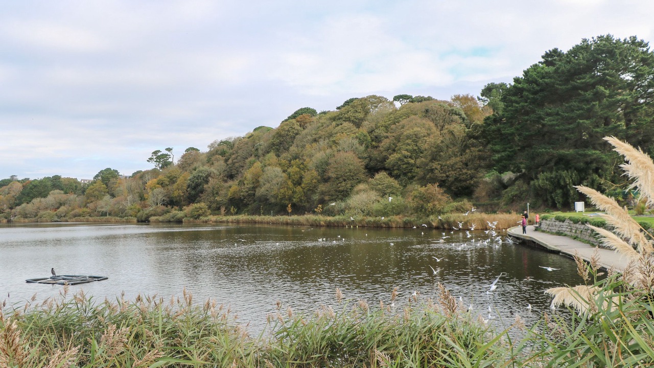 Photo of Others in Falmouth