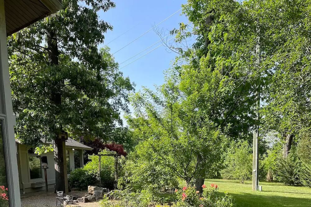 Photo of Outdoor in Sewell