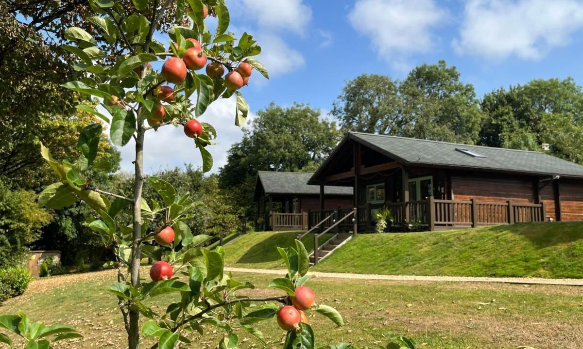 Photo of Outdoor in Leigh upon Mendip