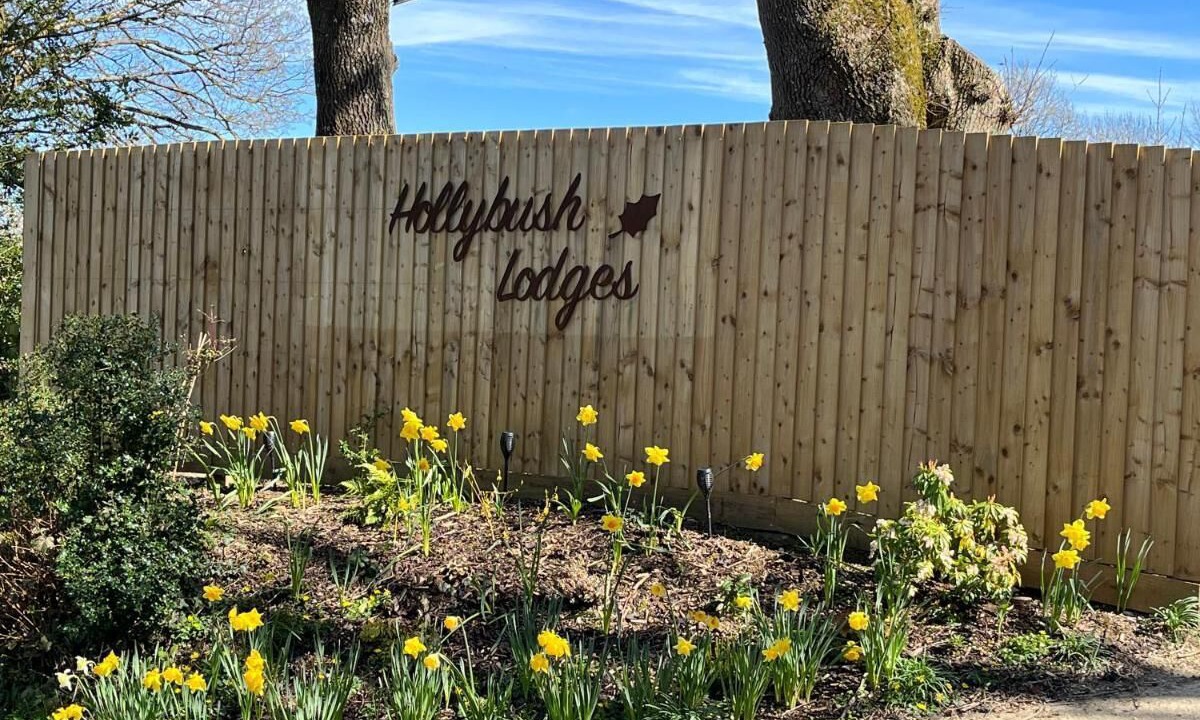 Photo of Outdoor in Leigh upon Mendip