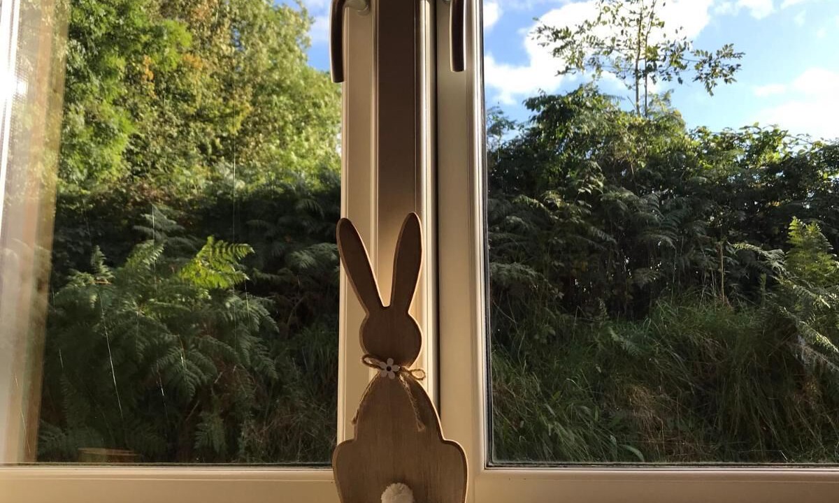 Photo of Outdoor in Leigh upon Mendip