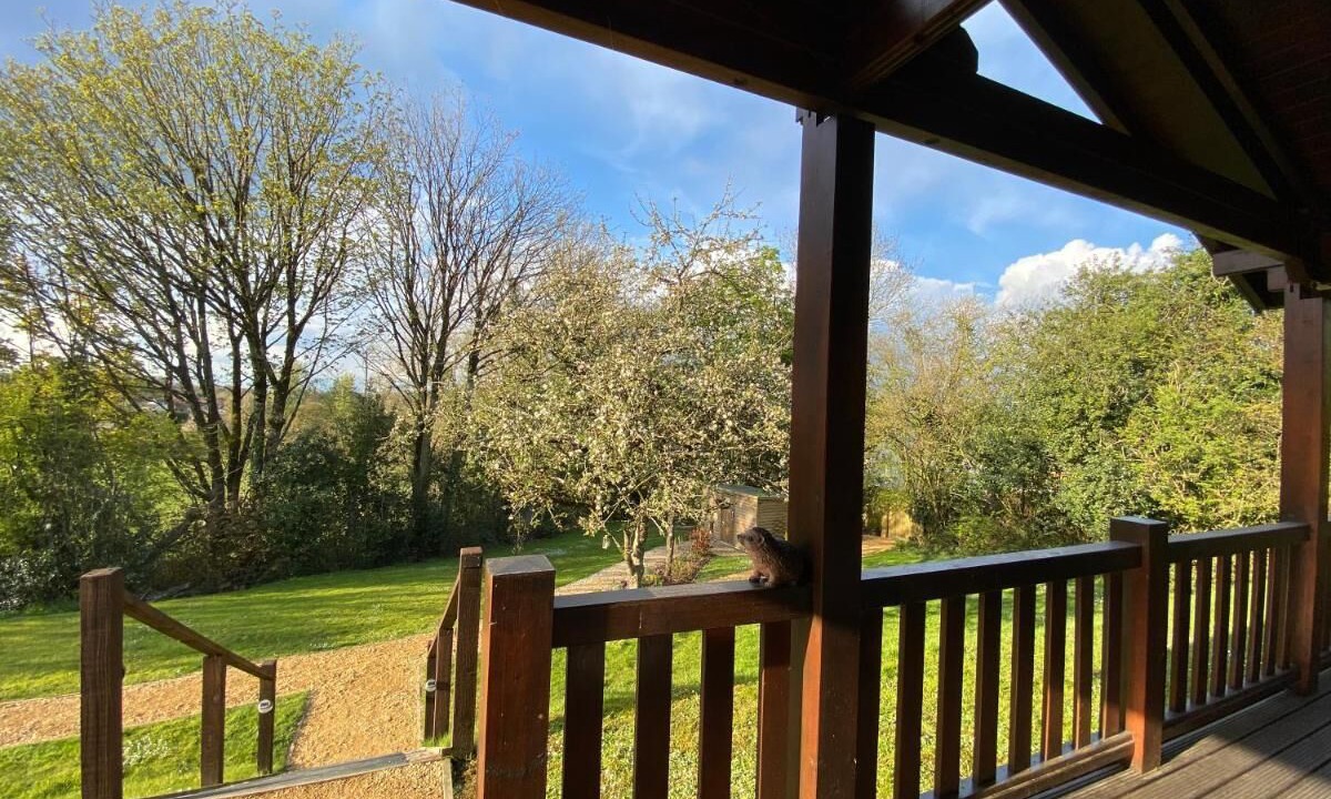 Photo of Outdoor in Leigh upon Mendip