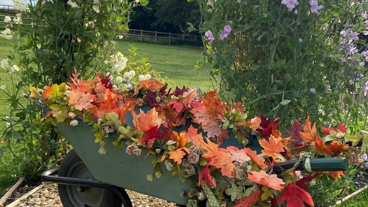 Photo of Outdoor in Leigh upon Mendip