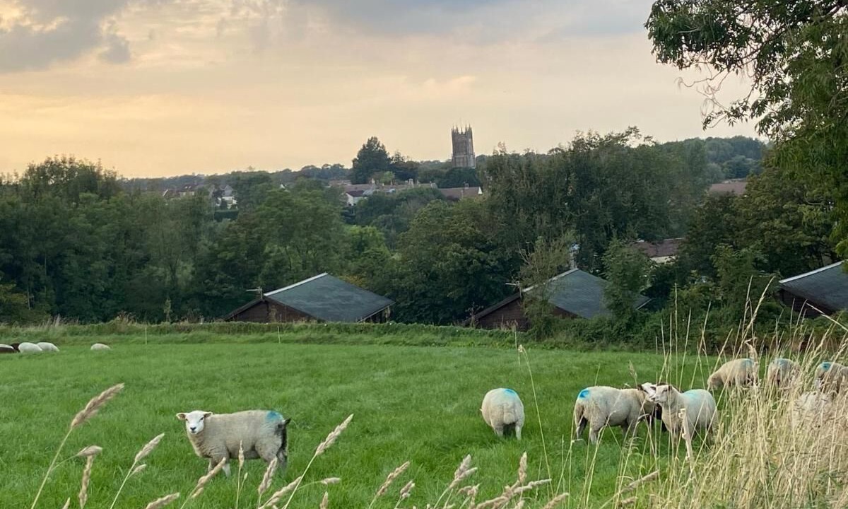 Photo of Outdoor in Leigh upon Mendip