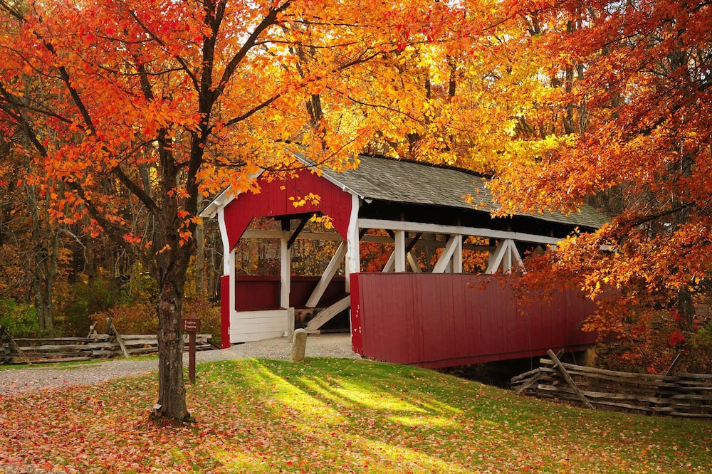 Photo of Others in Denver