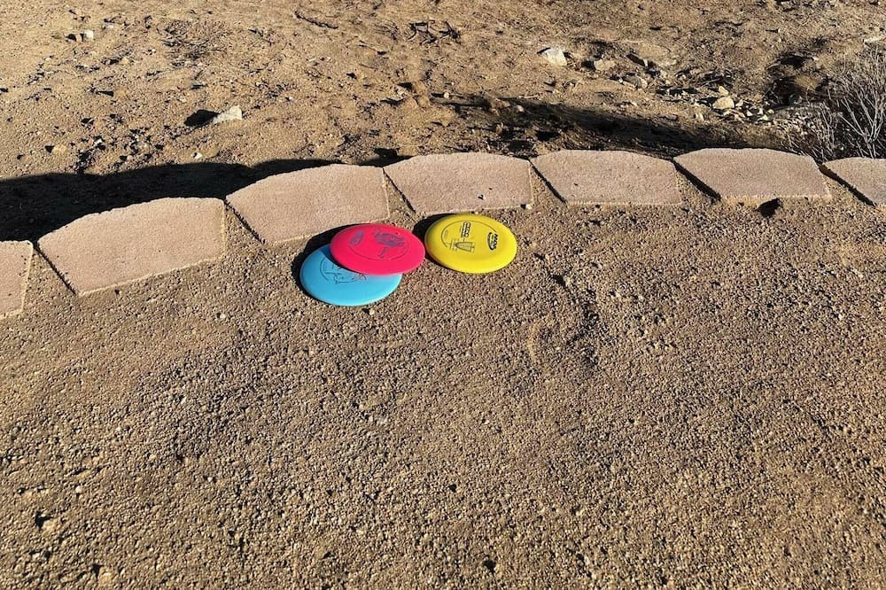 Photo of Others in Joshua Tree