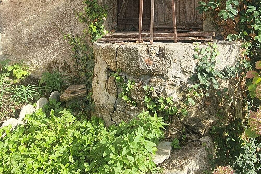 Photo of Outdoor in Piegut-Pluviers