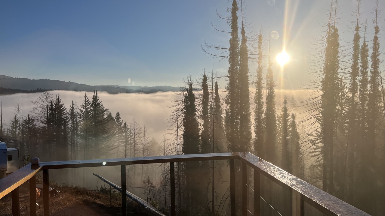 Photo of Outdoor in Boulder Creek
