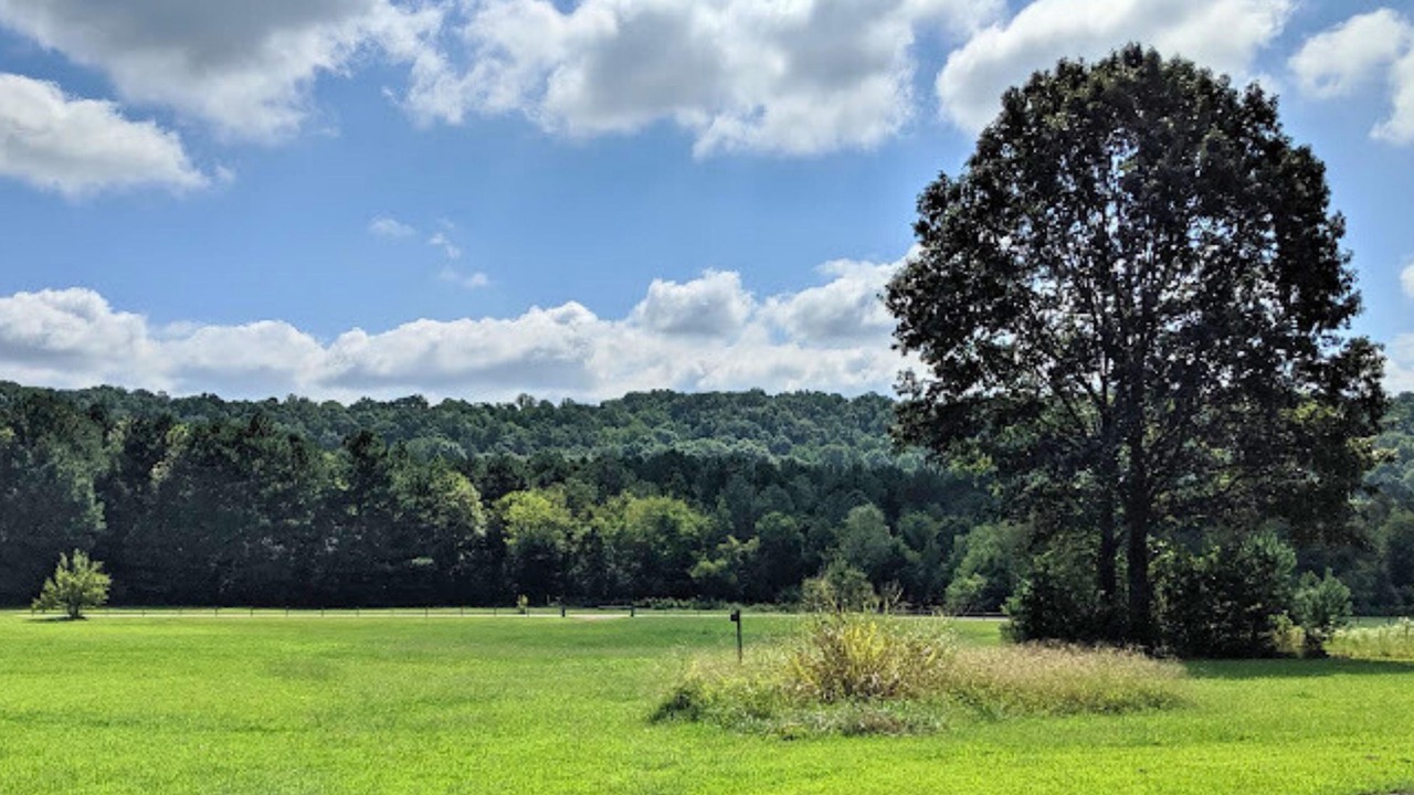 Photo of Others in Collegedale