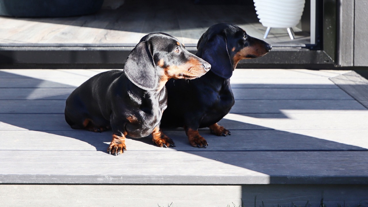 Photo of Outdoor in Tauranga