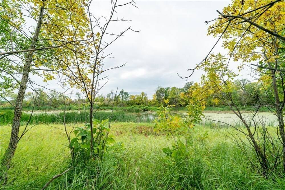 Photo of Outdoor in Selkirk