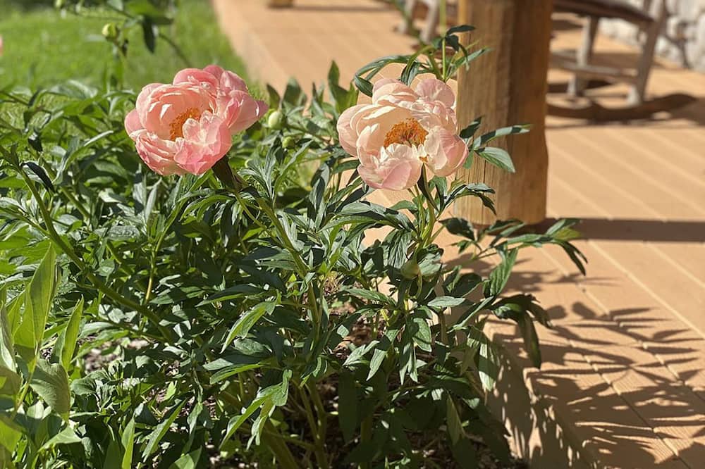 Photo of Outdoor in Roberts