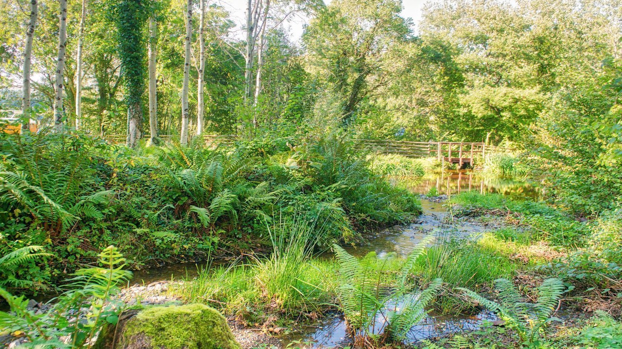 Photo of Outdoor in Llanycil